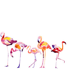 Beautiful watercolor flamingos, isolated on a white. Big set. © aboard