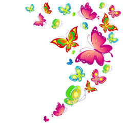 beautiful color butterflies,set, isolated  on a white