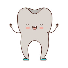 healthy tooth cartoon in colorful silhouette