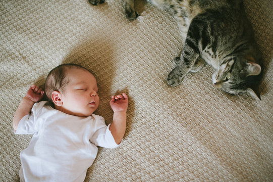 Newborn Baby And Cat