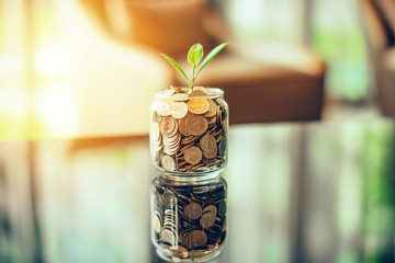 Plant growing out of coins with filter effect retro vintage style,concept money growing and small tree in jar, economy concept