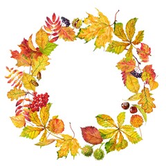 Wreath of autumn leaves and berry. Watercolor.