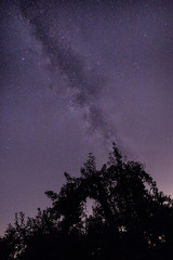Milky Way over Orchard