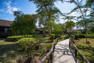 Fototapeta na wymiar View of lodges and villas at tropical destination