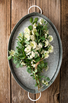 White Flowers in Tray