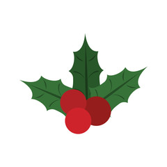 holly berries christmas related icon image vector illustration design 