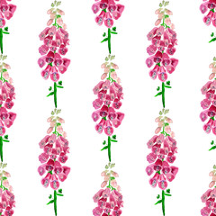 Seamless pattern with  foxglove flower © shoshina