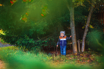 Маленький мальчик стоит под деревом рябины и елкой, держась ручкой за ствол дерева. Прогулка с ребенком по осеннему парку