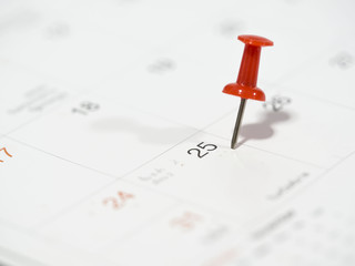  pin on calendar 25 December , Day of Christmas happy funny and party