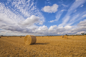 Fototapeta premium English Summer