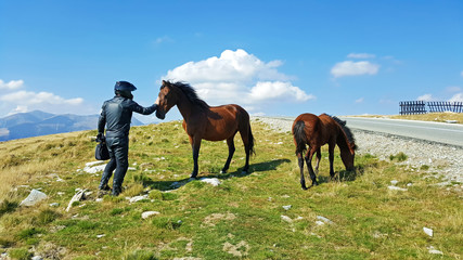 Fototapeta na wymiar Biker with horses at mountain in Romania