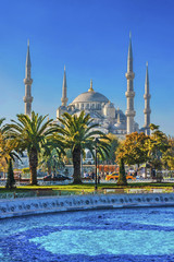 Blue mosque( (Sultanahmet Camii) Istanbul