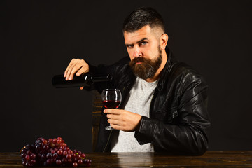 Degustator with serious face sits by bunch of dark grapes