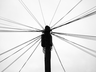 Telephone lines attached to a wooden pole in silhouette