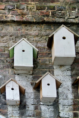 little bird houses