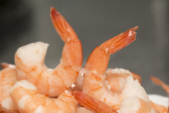 Shrimps