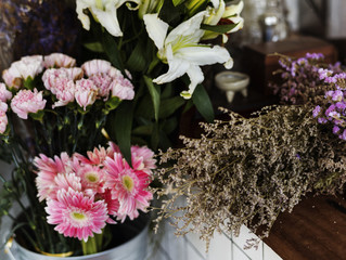 Flower Shop Retail Blooming Plant Store