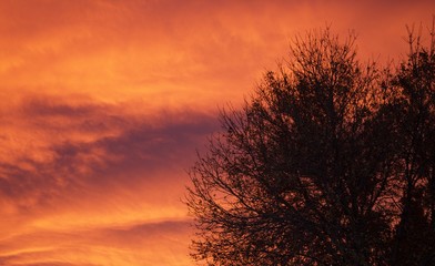 Sherbet Sunrise