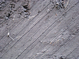 The track from the car on the ground