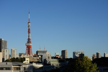 Fototapeta na wymiar 晴れ渡る東京の空（台風一過）・日本の東京都市景観「港区方面を望む」
