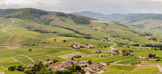landscape of Beaujolais region