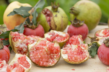 Autumn fruits with green background. pomegranate, apple, persimmon.