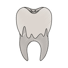 caries in the root of tooth in colored crayon silhouette