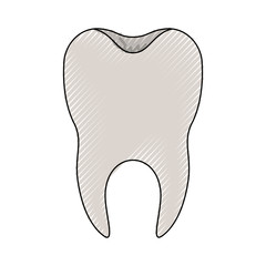 healthy tooth with root in colored crayon silhouette