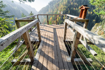 Lookout in forest © Jaroslav Moravcik