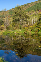 Autumn Landscape of Iskar River near Pancharevo lake, Sofia city Region, Bulgaria