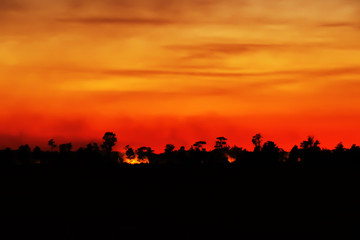 Night fire in the forest. Red sunset sky in the dark, silhouettes of burning trees with fire. Clubs of smoke in the dark. soft focus due to smoke.

