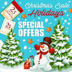 Fototapeta na wymiar Christmas and New Year sale special offer banner