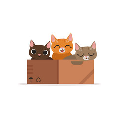 Three funny cats of diffferent colors in a box vector Illustration
