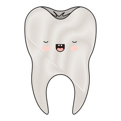 healthy kawaii tooth with root in colored crayon silhouette