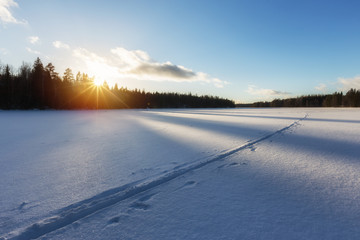 Fototapety na wymiar - Fototapeta24.pl