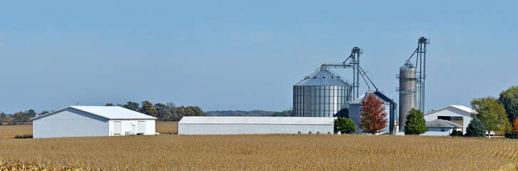 corn field with farm and grain bins in the distance