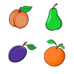 Obst - Pfirsich, Pflaume, Apfelsine & Birne