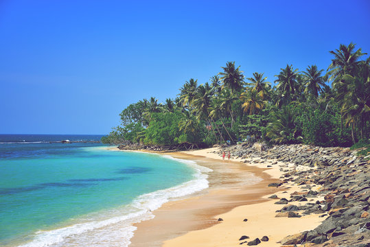 beautiful seascape, tropical beach, Sri Lanka