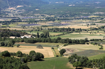 Naklejka premium Patchwork of Farmer's fields in valley below Sault, Provence France