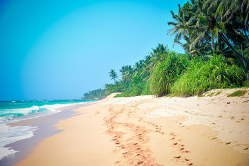 beautiful seascape, tropical beach, Sri Lanka
