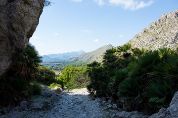 Mallorca, Urlaub, Balearen, Spanien, Sonne, Meer, Mittelmeer, Strand, Erholung