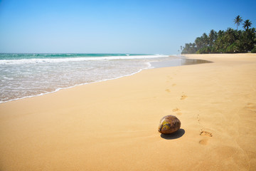 beautiful seascape, tropical beach, Sri Lanka