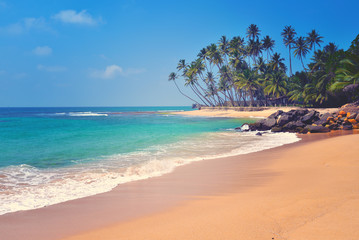 Fototapeta na wymiar beautiful seascape, tropical beach, Sri Lanka
