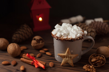 Fototapeta na wymiar Christmas cookies with hot cocoa. festive decoration, happy new 2018 year