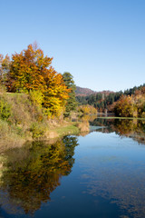 Fototapeta na wymiar autumn leaves reflecting in the water