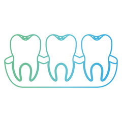 teeth with tooth root view in degraded green to blue color contour