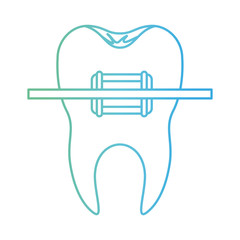 tooth with root and brace in degraded green to blue color contour