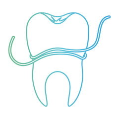tooth with root and dental floss around in degraded green to blue color contour