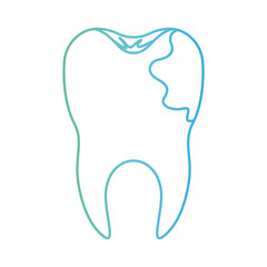 tooth with root and caries by side in degraded green to blue color contour