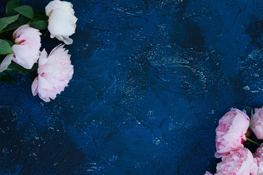 Fototapeta Fresh peony flowers with copy space on dark blue table background